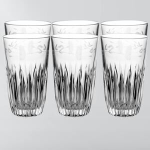 Vintage Heritage By Princess House Floral Etched Flat Tumbler Glass Set Of 6